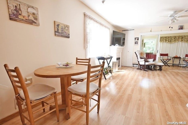 dining room featuring ceiling fan, plenty of natural light, and light hardwood / wood-style flooring