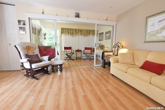 living room featuring a baseboard heating unit and light hardwood / wood-style flooring