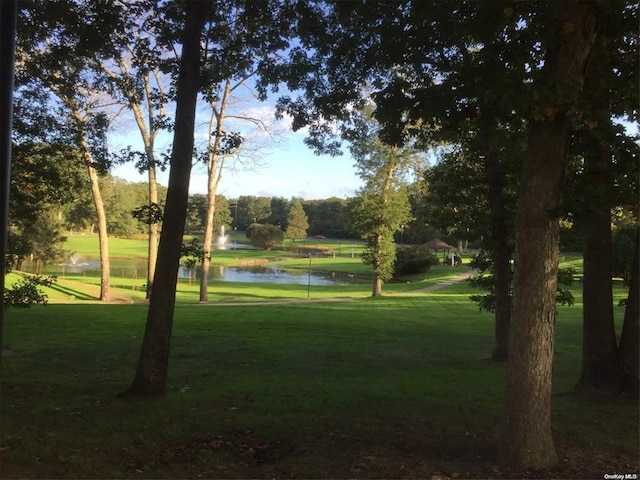 view of property's community featuring a water view and a lawn