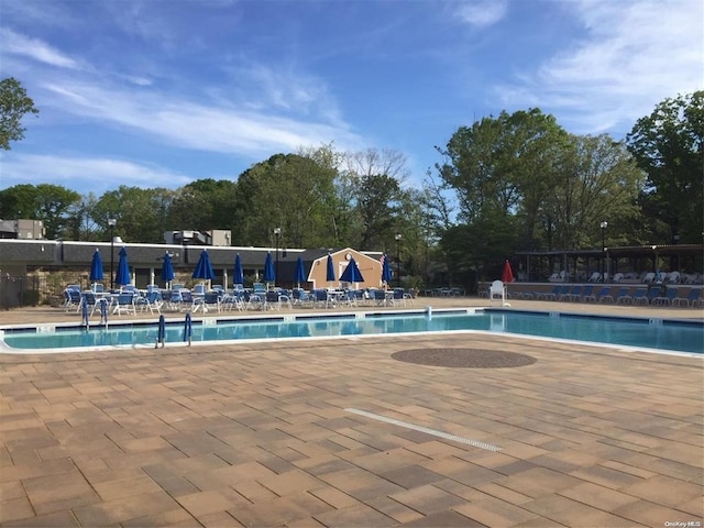 view of pool with a patio area