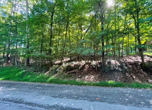 16 Laura Ln, Hopewell Junction NY, 12533 land for sale