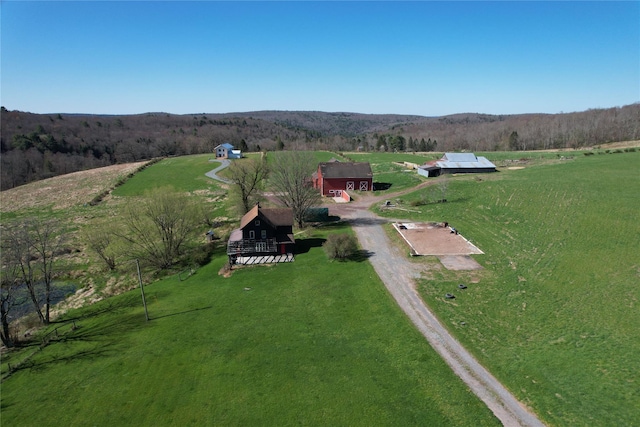 356 Gabel Rd, Callicoon, NY 12723 - photo 5