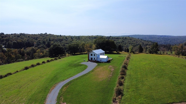 356 Gabel Rd, Callicoon, NY 12723 - photo 12