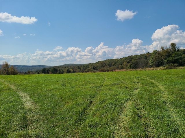 356 Gabel Rd, Callicoon, NY 12723 - photo 15