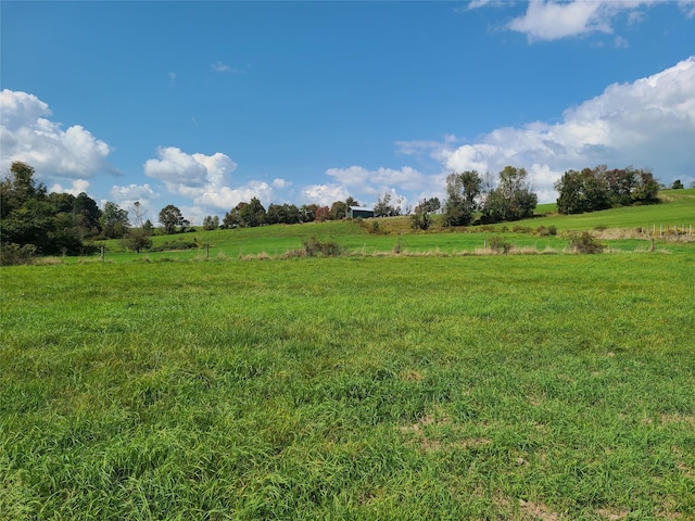 356 Gabel Rd, Callicoon, NY 12723 - photo 16