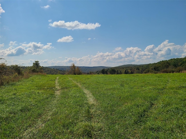 356 Gabel Rd, Callicoon, NY 12723 - photo 20