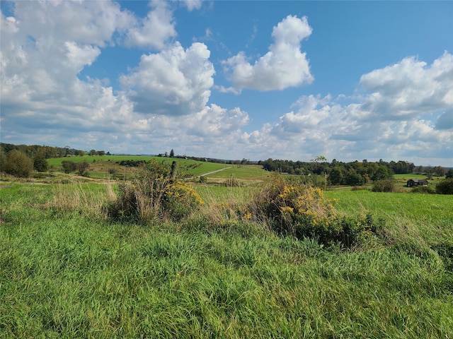 356 Gabel Rd, Callicoon, NY 12723 - photo 21