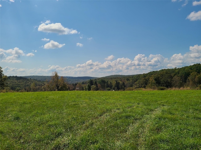 356 Gabel Rd, Callicoon, NY 12723 - photo 22