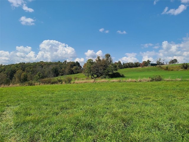 356 Gabel Rd, Callicoon, NY 12723 - photo 25