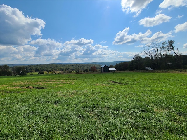 356 Gabel Rd, Callicoon, NY 12723 - photo 27
