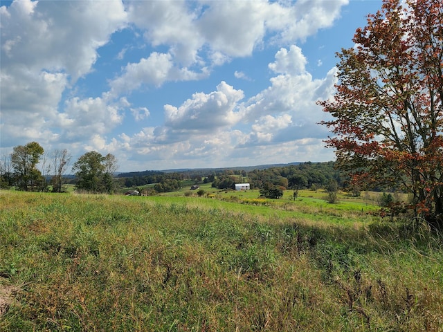 356 Gabel Rd, Callicoon, NY 12723 - photo 41