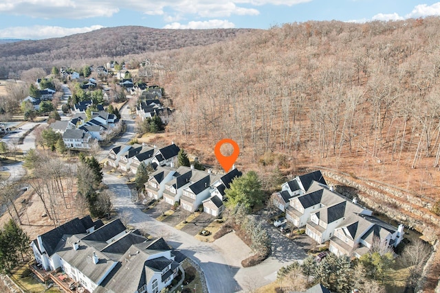 birds eye view of property with a mountain view