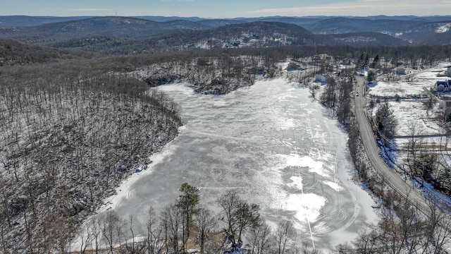 snowy aerial view with a mountain view