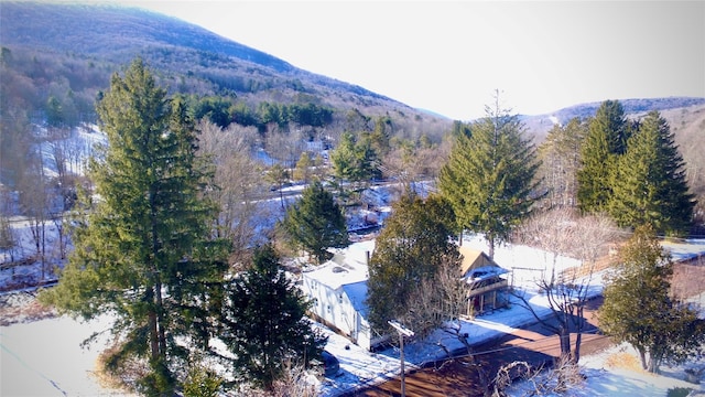 birds eye view of property with a mountain view