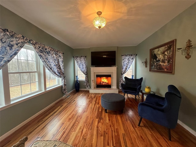 sitting room featuring plenty of natural light and wood-type flooring