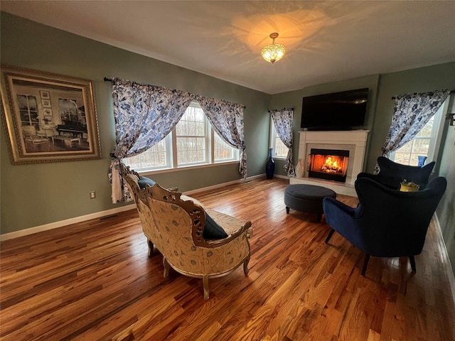 living room with hardwood / wood-style flooring