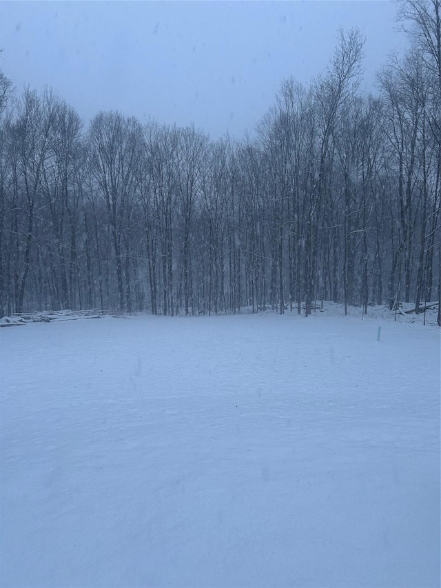 view of yard covered in snow