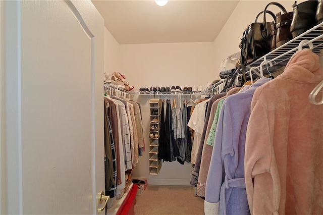 walk in closet with light carpet