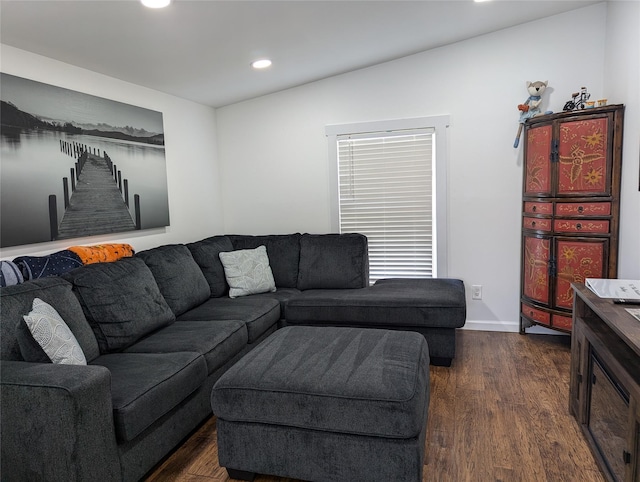 living room with dark hardwood / wood-style flooring