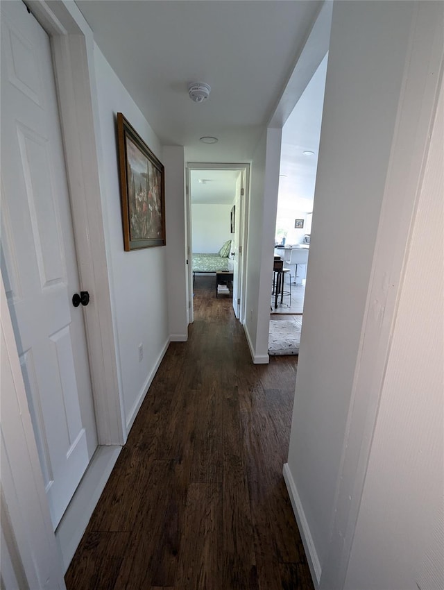 corridor with dark wood-type flooring