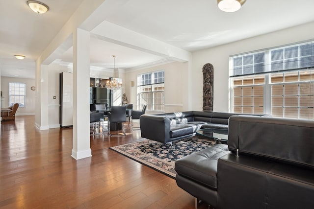 living room featuring an inviting chandelier, ornamental molding, and dark hardwood / wood-style flooring