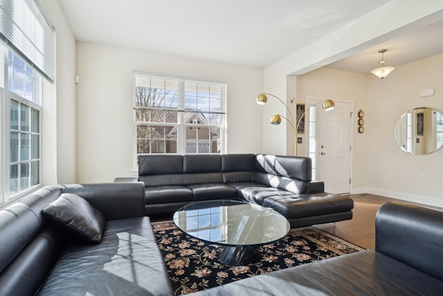 living room featuring wood-type flooring