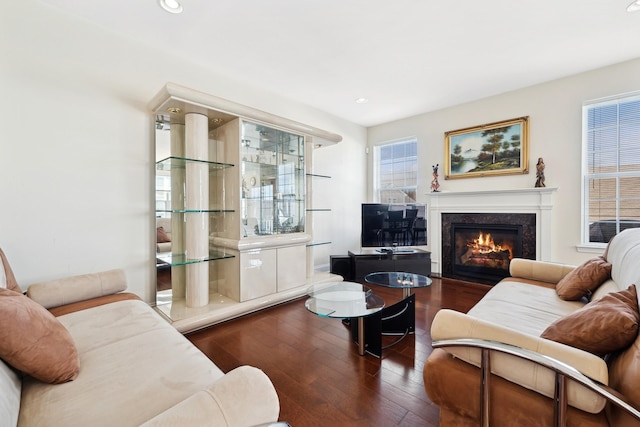 living room featuring dark hardwood / wood-style flooring