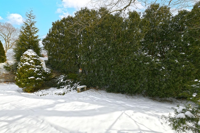 view of snow covered land