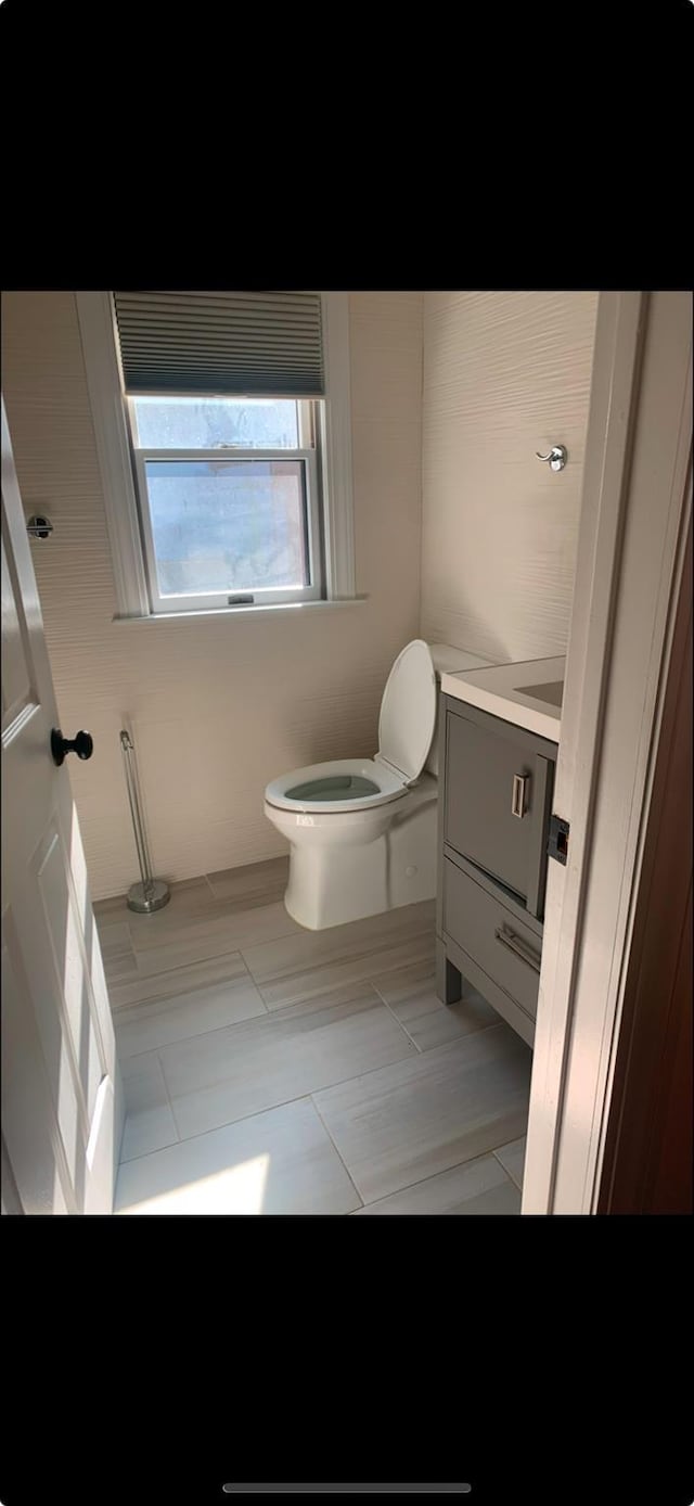 bathroom with vanity and toilet