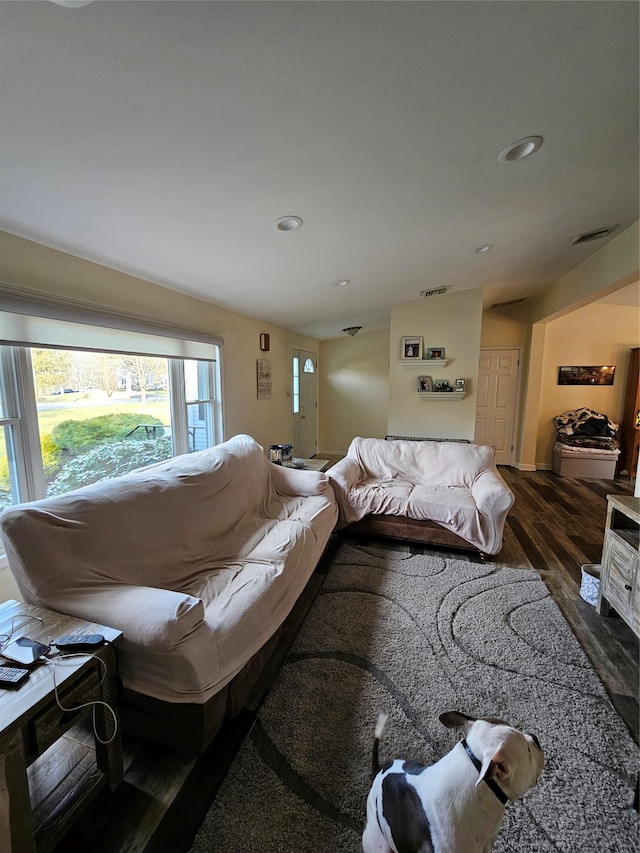 living room featuring dark hardwood / wood-style flooring