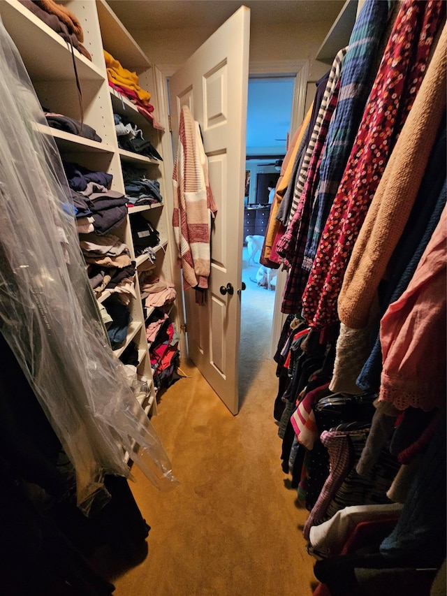 walk in closet featuring light carpet