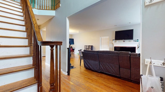 living room featuring hardwood / wood-style floors