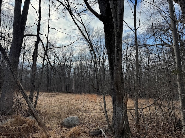 Quannacut Rd, Pine Bush NY, 12566 land for sale