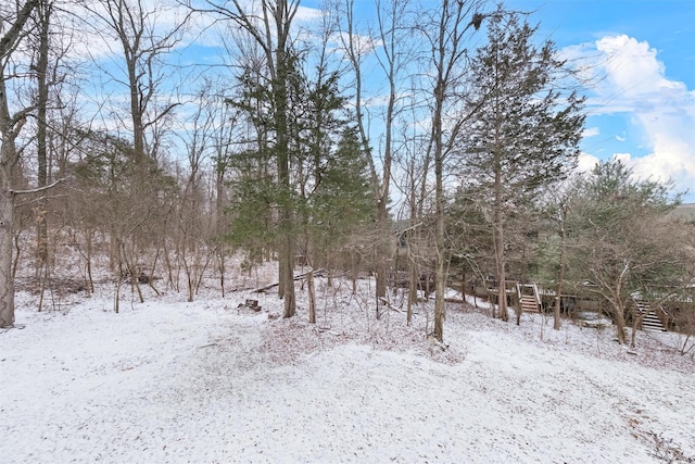 view of snowy landscape