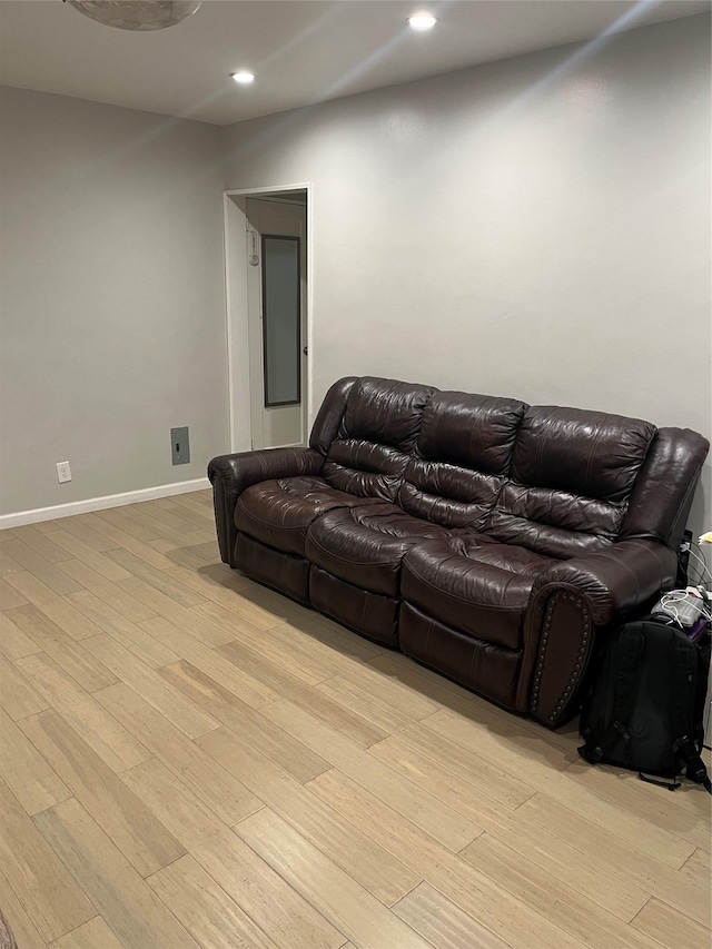 living room featuring light hardwood / wood-style flooring