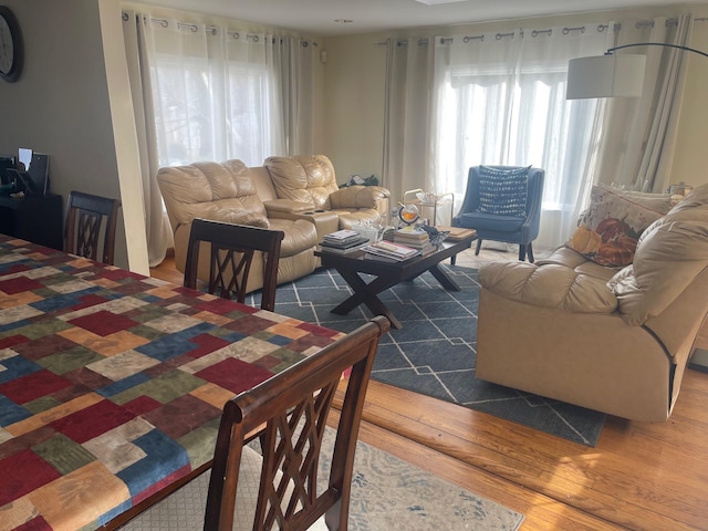 dining room featuring wood-type flooring