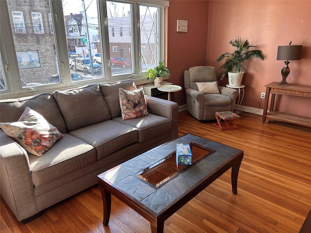 living room with hardwood / wood-style flooring