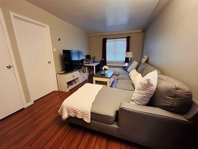 living room with radiator heating unit and dark hardwood / wood-style flooring