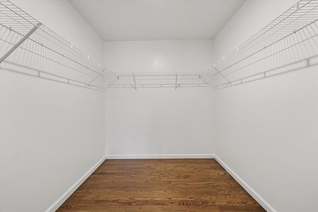 spacious closet with dark wood-type flooring