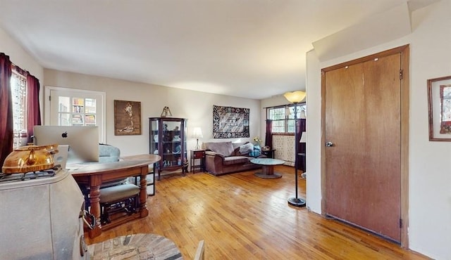 living room featuring light hardwood / wood-style flooring