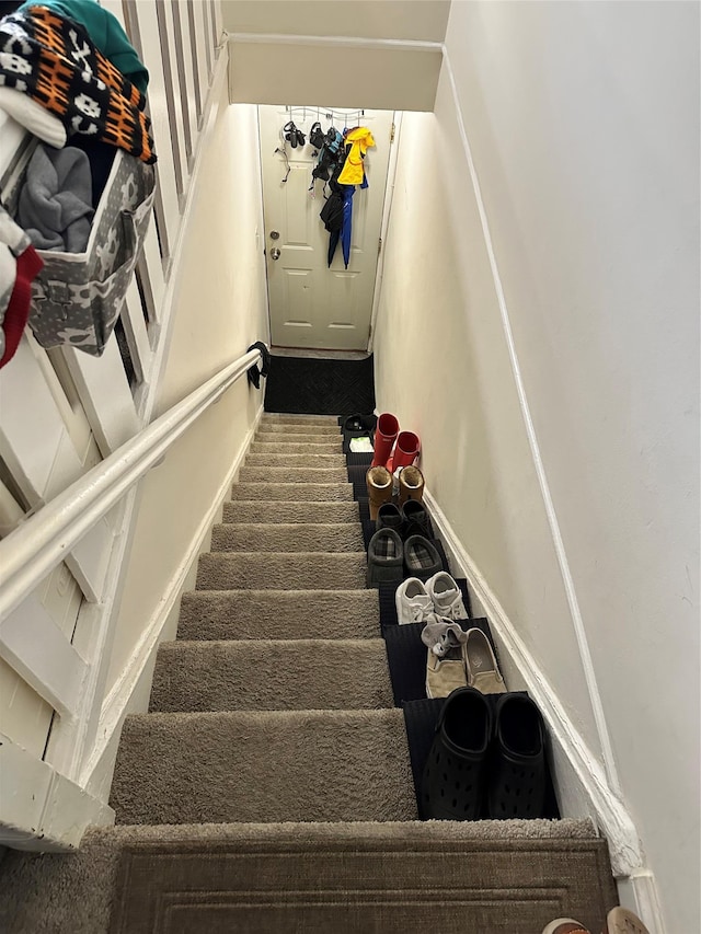 staircase featuring carpet floors