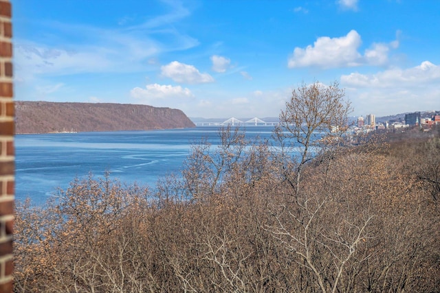 property view of water with a mountain view