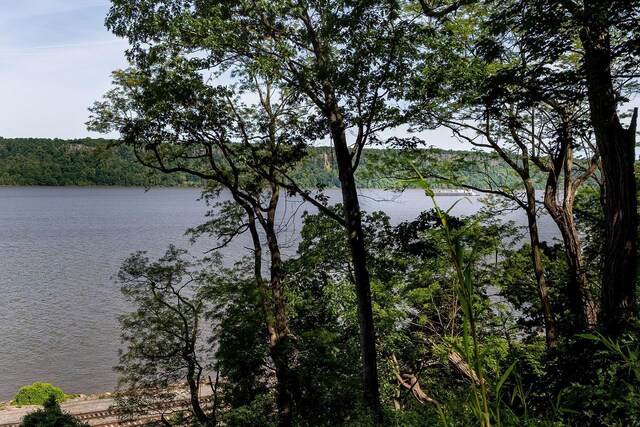 2727 Palisade Ave Unit 16Ab, Bronx, NY 10463 - water view featuring a heavily wooded area