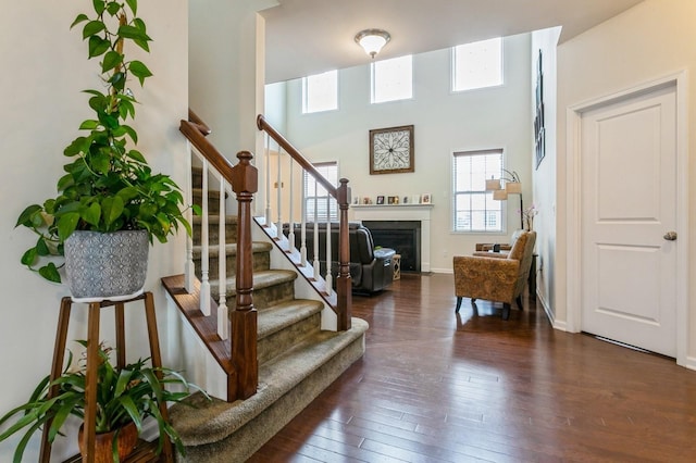 entryway with a high ceiling and dark hardwood / wood-style flooring