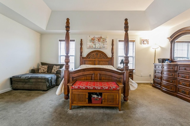 bedroom featuring multiple windows, a raised ceiling, and carpet