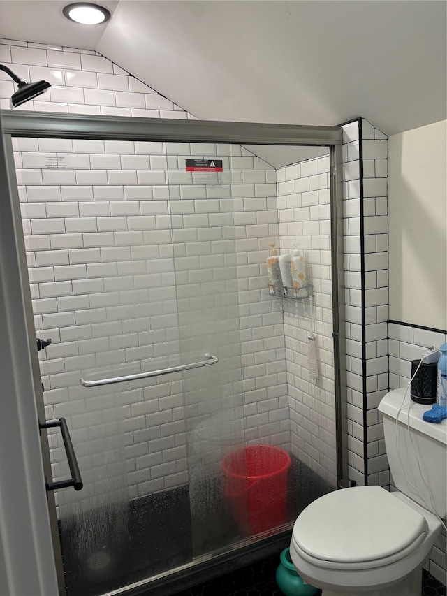 bathroom featuring toilet, lofted ceiling, and walk in shower