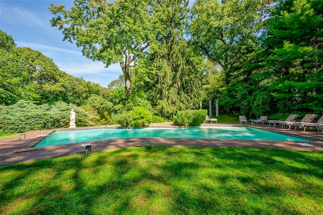 view of pool with a yard