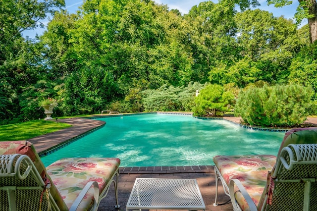 view of pool featuring grilling area