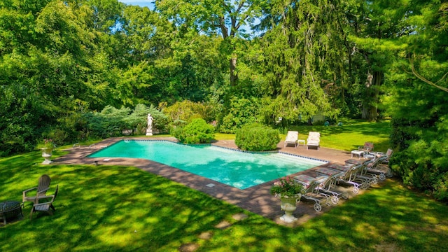 view of swimming pool featuring a patio area and a lawn