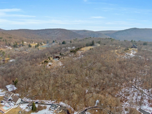 0 Bellwood Ln, Cornwall On Hudson, NY 12520
